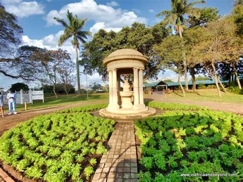 Durban Botanic Gardens: Muhteşem Bitki Çeşitliliği ve Şirin Piknik Alanları!