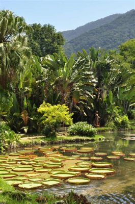  Jardim Botânico do Rio de Janeiro: Muhteşem Bir Tropikal Cennet ve Biyoçeşitlilik Merkezi!